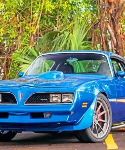 blue-78-firebird-trans-am-paint-by-numbers