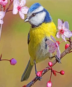 Blue Tit In Spring paint by numbers