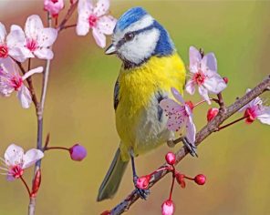 Blue Tit In Spring paint by numbers