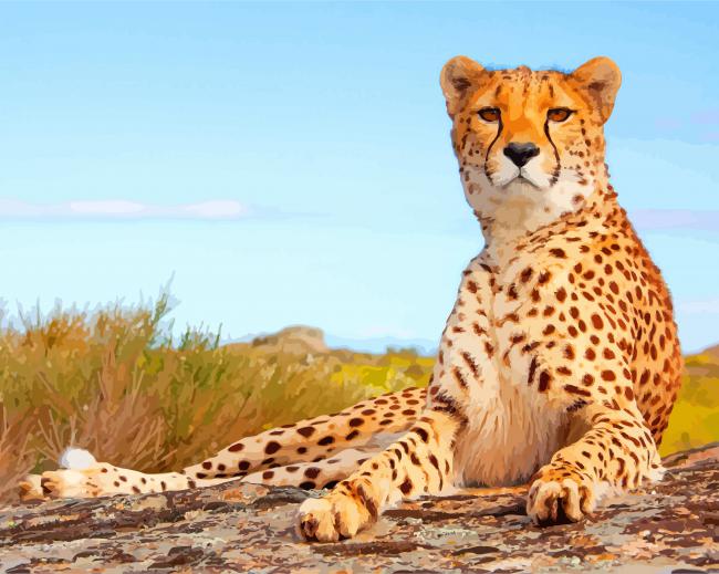 cheetah-paint-by-number