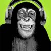 Chimpanzee With Headphones paint by numbers