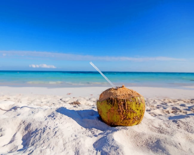 coconut-drink-on-beach-paint-by-number