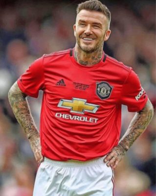 David Beckham Sport paint by numbers