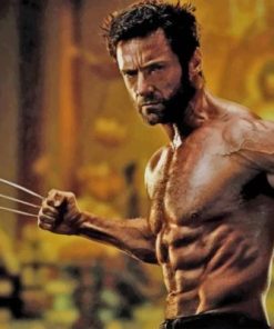Barba Hugh Jackman Wolverine paint by numbers