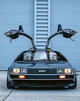 Delorean Car Paint by numbers