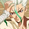 dr-stone-anime-paint-by-number