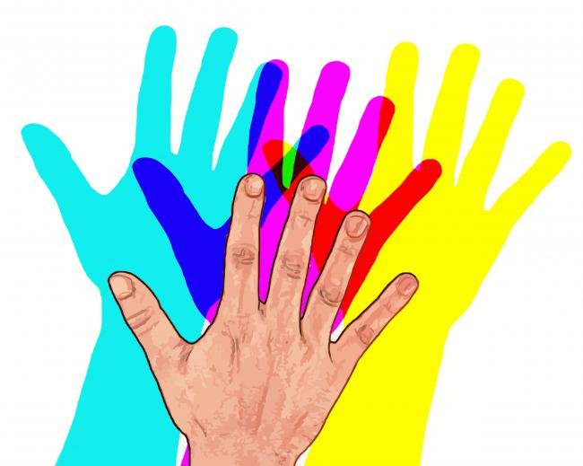 hand-coloredshadows-paint-by-numbers