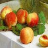 Henri Fantin Latour Peaches Paint by numbers