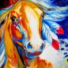 Indian Horse paint by numbers