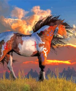 indian war horse paint by number