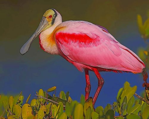 Pink And Yellow Long Beak Bird paint by numbers