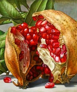 Pomegranate paint by numbers