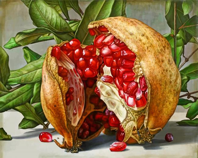 Pomegranate paint by numbers