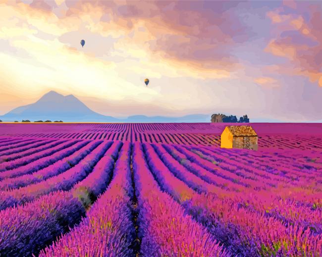 Provence Lavender Field Paint by number