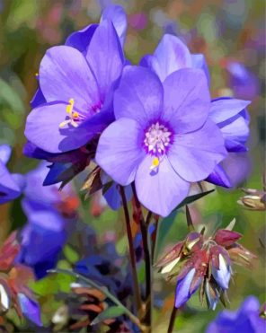 purple crocus flowers paint by number