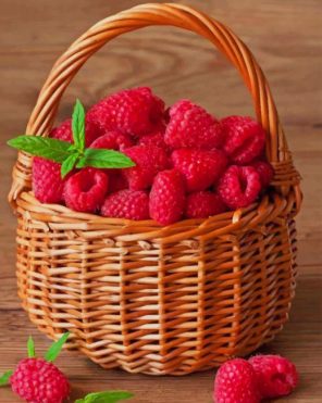 raspberries fruit in basket paint by number