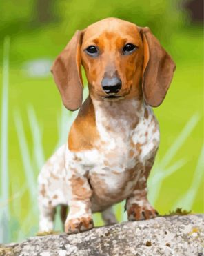 scent hound Puppy Dog paint by numbers