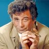 vintage columbo paint by numbers