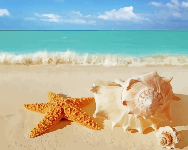 Beach Aesthetic Guide ~ for a BEACH VIBE! [02/21] – Seashell Madness