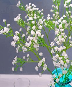 Aesthetic White Babys Breath paint by numbers