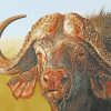 African Buffalo paint by numbers