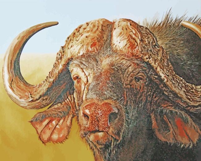 African Buffalo paint by numbers