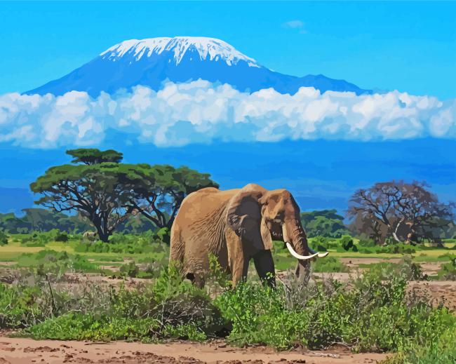 Kenya Amboseli National Park Elephant paint by numbers