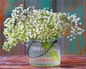 Babys Breath White Plants paint by numbers