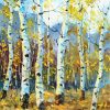 Birch Tree Landscape paint by numbers