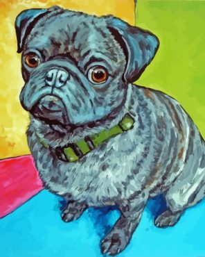 Little Black Pug Dog paint by numbers