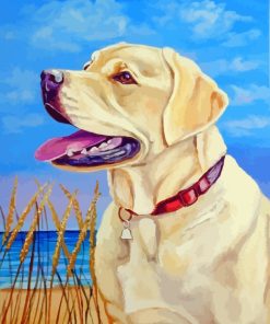 Blonde Labrador Dog paint by numbers