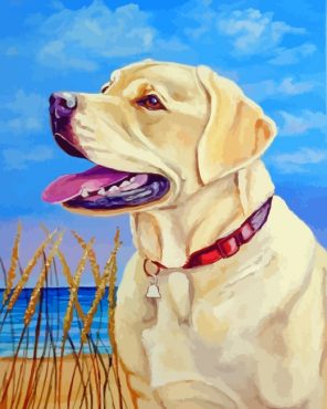 Blonde Labrador Dog paint by numbers