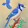 Blue-Jay-Birds-paint-by-numbers