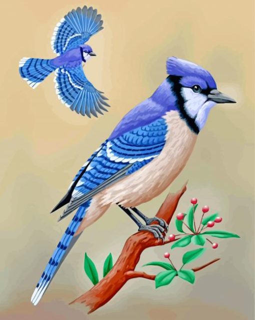 Blue-Jay-Birds-paint-by-numbers