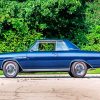 Blue Antique Car Buick Skylark paint by numbers
