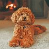 Brown Poodle Dog paint by numbers