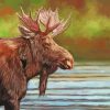 Bull Moose Animal paint by numbers