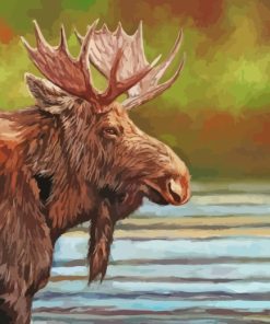 Bull Moose Animal paint by numbers