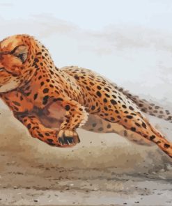 Cheetah Running paint by numbers