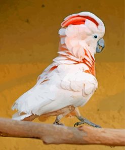 Aesthetic salmon crested cockatoo paint by numbers