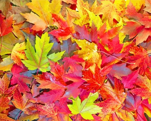 Colorful Autumn Leaves paint by numbers