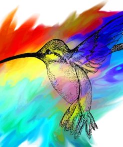 Colorful Hummingbirds Art paint by numbers