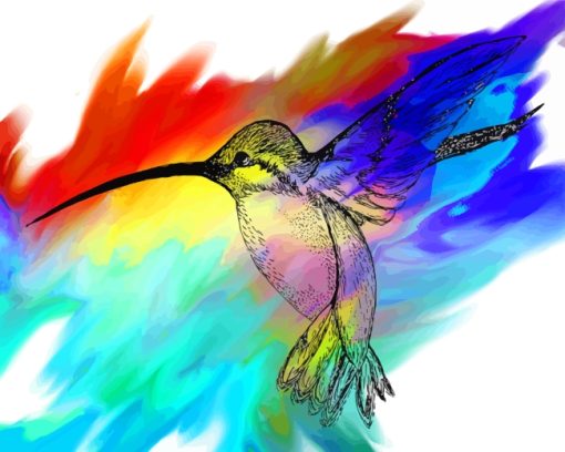 Colorful Hummingbirds Art paint by numbers