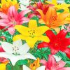 Colourful Lilies paint by numbers