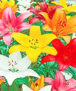 Colourful Lilies paint by numbers