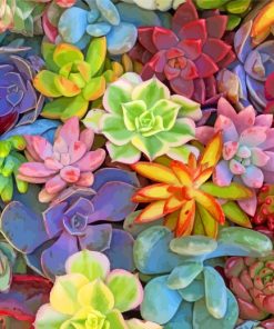 Tchicked Succulents Plants paint by numbers