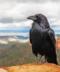 Common Raven Bird paint by numbers