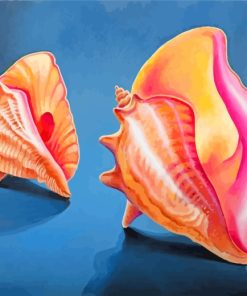 Conch Shells paint by numbers