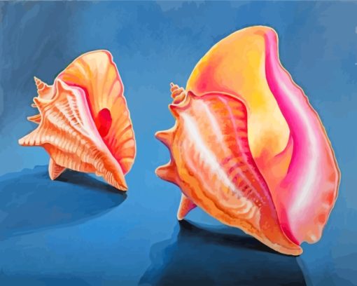 Conch Shells paint by numbers