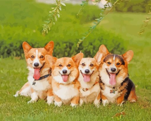 Corgie Puppies paint by numbers